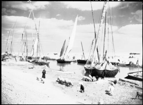 Ismalia Canal [picture] : [Egypt, World War II] / [Frank Hurley]
