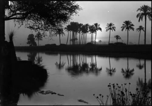 Sunset on the Ismalia Canal [picture] : [Egypt, World War II] / [Frank Hurley]