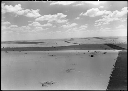 Sinai Desert Road [picture] : [Egypt, World War II] / [Frank Hurley]