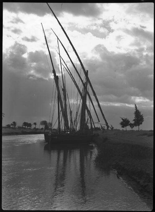 [Ismalia Canal, feluccas moored to canal bank] [picture] : [Egypt, World War II] / [Frank Hurley]