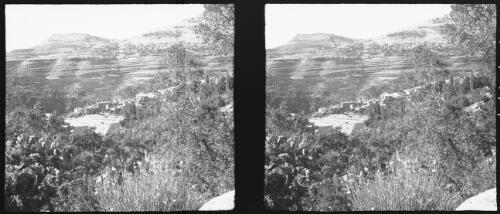 Lebanon [bushes and trees in foreground, buildings, mountains] [picture] : [Lebanon, World War II] / [Frank Hurley]