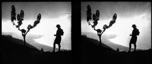 Damas [figure and tree, view of town and harbour] [picture] : [Syria, World War II] / [Frank Hurley]