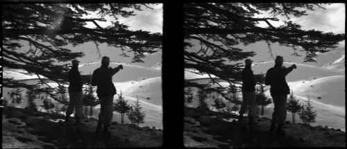 Among the Cedars of Lebanon, where a small grove of Cedars has been preserved, otherwise the hills are completely desolate of trees [two figures, A.I.F. skiers] [picture] : [Lebanon, World War II] / [Frank Hurley]
