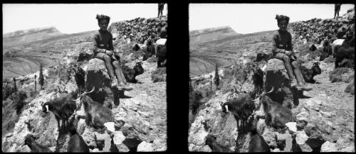 On way to Cedars [a seated figure, goats] [picture] : [Lebanon, World War II] / [Frank Hurley]