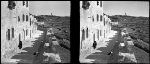 Jerusalem [facades of buildings in foreground, town in background, figure on path] [picture] / [Frank Hurley]
