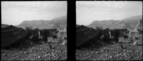 Bedouin camp, Syrian desert [picture] : [Syria, World War II] / [Frank Hurley]