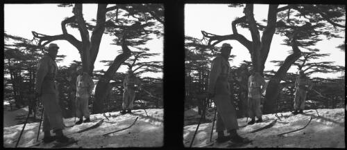 Cedars of Lebanon [AIF ski unit, figures, 1940-1942, 2] [picture] : [Lebanon, World War II] / [Frank Hurley]