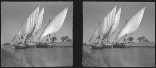 Feluccas on the "Sweetwater" Canal Ismalia [three boats in full sail] [picture] : [Egypt, World War II] / [Frank Hurley]