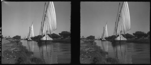 Feluccas on the "Sweetwater" Canal Ismalia [front view of two boats] [picture] : [Egypt, World War II] / [Frank Hurley]