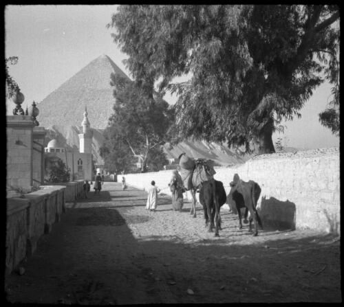 Cairo [street leading up to Pyramid] [picture] : [Egypt, World War II] / [Frank Hurley]