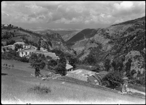 Typical view on ascent to Cedars Lebanon [picture] : [Lebanon, World War II] / [Frank Hurley]