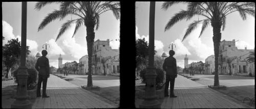 Scenes Benghazi harbour & town (also restored Town Hall now Administrative Centre) [looking down the street, palm tree in foreground] [picture] : [Libya, World War II] / [Frank Hurley]