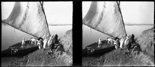 Donkey ferry on the Nile Luxor, stereo [picture] : [Egypt, World War II] / [Frank Hurley]