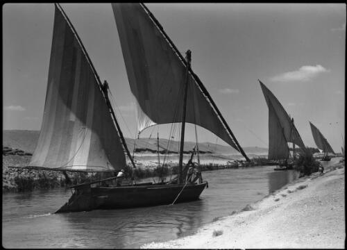 Feluccas on the Cairo-Ismalia Canal [picture] : [Egypt, World War II] / [Frank Hurley]