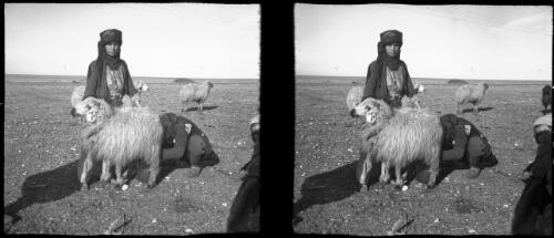 Scenes taken around a Bedouin camp near Tartous Syria [milking a sheep, child in shot to the right] [picture] : [Syria, World War II] / [Frank Hurley]