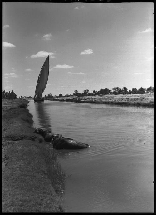 Sailing down the freshwater canal to Ismalia [boat in the distance] [picture] : [Egypt, World War II] / [Frank Hurley]