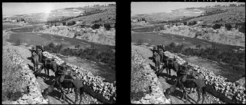 [Street shots, Amman, with a camel train on a stone-walled road] [picture] : [Jordan, World War II] / [Frank Hurley]