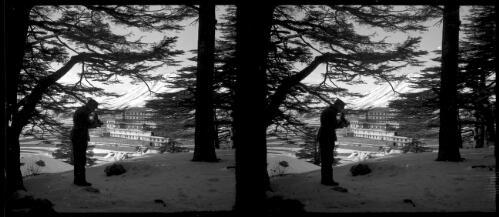 Cedars [man in military uniform taking a photograph] [picture] : [Lebanon, World War II] / [Frank Hurley]