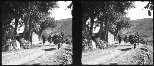 New village Haddid [?] Cedars Lebanons [picture] : [Lebanon, World War II] / [Frank Hurley]