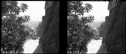 El Khazne, Petra [rock face on one side, tree foliage on the other] [picture] : [Jordan, World War II] / [Frank Hurley]