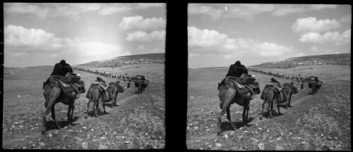 Arabs moving to another camp TransJordan [picture] : [Jordan, World War II] / [Frank Hurley]
