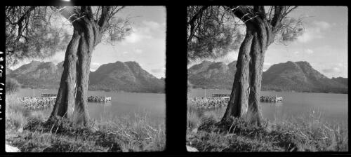[Jetty or dock with large tree in foreground and distant hills, ca. 1938-1947] [picture] : [Tasmania] / [Frank Hurley]