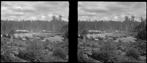 [Forest sawmill ca. 1938-1947] [picture] : [Tasmania] / [Frank Hurley]