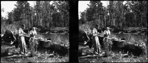 [Two men eating, fallen log, plates, pots, cups, river, water, in a bush setting ca. 1938-1947] [picture] : [Tasmania] / [Frank Hurley]