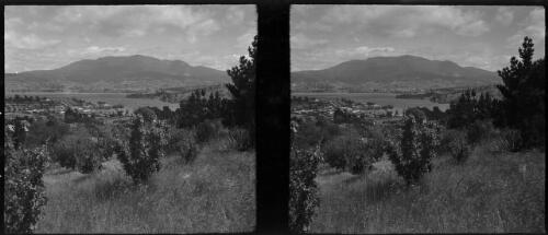 [Small shrubs and trees foreground, distant town or suburb, water, mountain background ca. 1938-1947] [picture] : [Tasmania] / [Frank Hurley]
