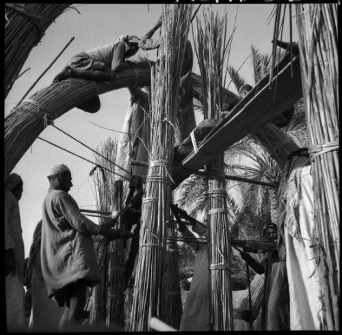 House building, Chubaish [poles, figures and a central arch, 1944] [picture] : [Iraq, World War II] / [Frank Hurley]