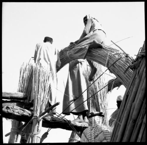 Chubaish and vicinity [figures with a curved bundle of rushes or reeds, one sitting astride, 1944] [picture] : [Iraq, World War II] / [Frank Hurley]
