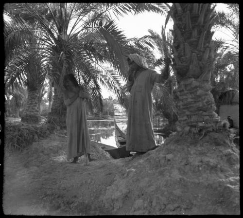 Chubaish and vicinity [two figures among palm trees, 1944] [picture] : [Iraq, World War II] / [Frank Hurley]