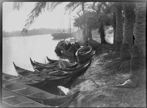 [Canoes pulled up a riverbank in Chubaish where the Euphrates expands into a vast area of swamps, 1944, 1] [picture] : [Iraq, World War II] / [Frank Hurley]