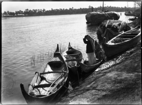[Canoes pulled up a riverbank in Chubaish where the Euphrates expands into a vast area of swamps, 1944, 2] [picture] : [Iraq, World War II] / [Frank Hurley]