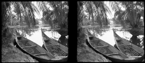 Chubaish, village on swamp Hor L Hama about 30 miles up Euphrates where it joins the Tigris above Basra Iraq [two canoes tied up to shore, a hut, and a river viewed through trees (palm fronds), 1944] [picture] : [Iraq, World War II] / [Frank Hurley]