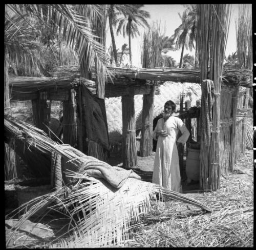 Chubaish [a bearded figure standing in a reed hut, 1944] [picture] : [Iraq, World War II] / [Frank Hurley]