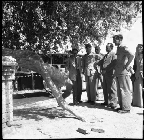 Tree of Temptation, Garden of Eden [several men in military uniform, a man in a suit and a man in Arab dress, 1944] [picture] : [Iraq, World War II] / [Frank Hurley]