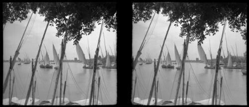 [Feluccas in full sail viewed through poles, masts, and ropes, on a river] [picture] : [Cairo, Egypt, World War II] / [Frank Hurley]