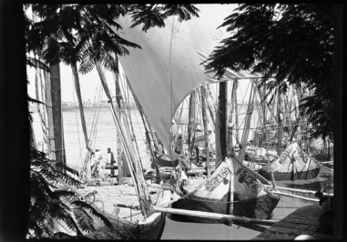 Old Cairo [boats on a river framed by trees] [picture] : [Cairo, Egypt, World War II] / [Frank Hurley]