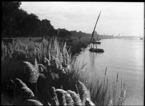 East bank of the Nile at Maadi, Cairo, the domed building in the background is a Coptic monastery [with a felucca, reeds and the river] [picture] : [Cairo, Egypt, World War II] / [Frank Hurley]