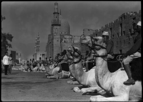 Camel Corps in front of Mausoleum of Sultan Barsbay, in distance can be seen the twin minarets of Sultan Barquq's Mausoleum [picture] : [Cairo, Egypt, World War II] / [Frank Hurley]