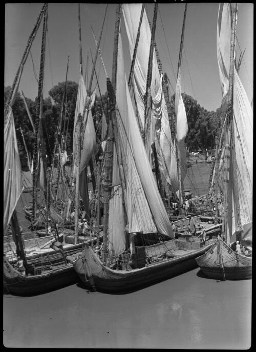 Feluccas on the Nile at Cairo [docked together] [picture] : [Cairo, Egypt, World War II] / [Frank Hurley]