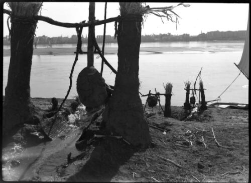 Scenes taken near Luxor [two trees on left] [picture] : [Cairo, Egypt, World War II] / [Frank Hurley]