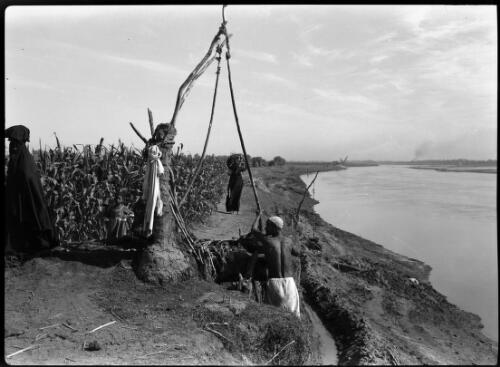 Scenes taken near Luxor [with several figures and river] [picture] : [Cairo, Egypt, World War II] / [Frank Hurley]