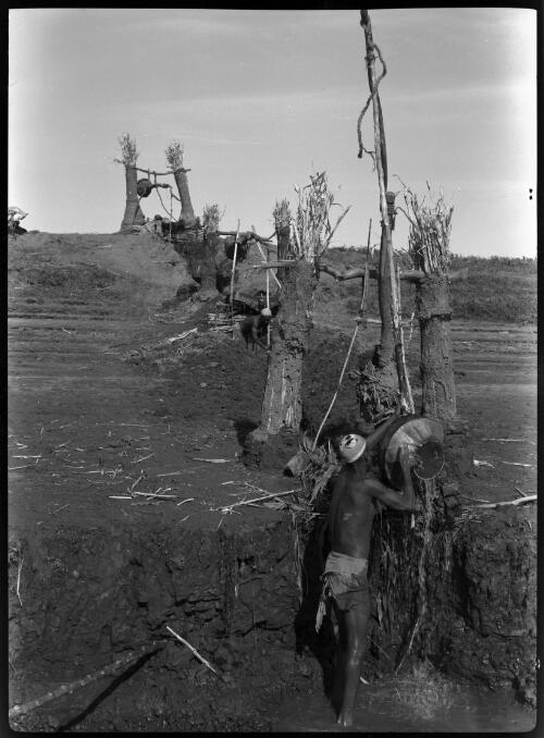 Scenes taken near Luxor [row of poles uphill with a figure] [picture] : [Cairo, Egypt, World War II] / [Frank Hurley]