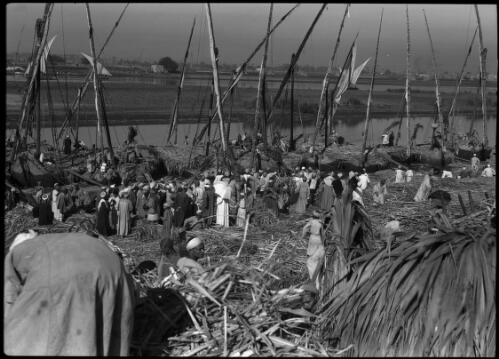 Busy scenes at the Port of Old Cairo during sugar cane time [picture] : [Cairo, Egypt, World War II] / [Frank Hurley]