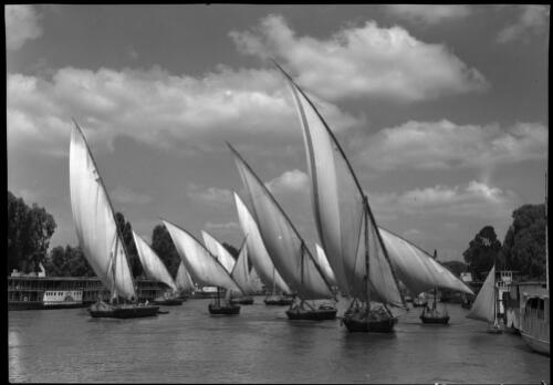 Feluccas on River Nile, Cairo, Egypt [picture] : [Cairo, Egypt, World War II] / [Frank Hurley]
