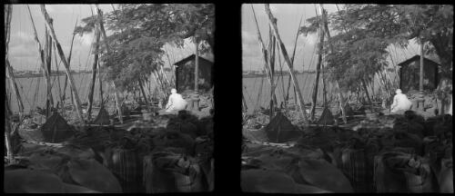 Nile River port near Cairo [picture] : [Cairo, Egypt, World War II] / [Frank Hurley]