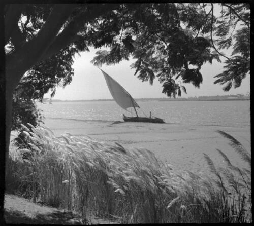 Odd shots in Old Cairo [felucca on the Nile] [picture] : [Cairo, Egypt, World War II] / [Frank Hurley]