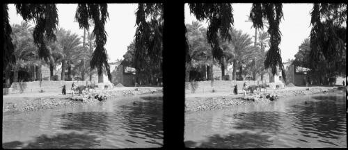 Scene near Helwan Cairo [by the river, Hulwan] [picture] : [Cairo, Egypt, World War II] / [Frank Hurley]